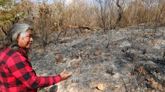 Indígenas sofrem com incêndio em área próxima a parque de Brasília