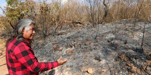 Imagem referente a Indígenas sofrem com incêndio em área próxima a parque de Brasília