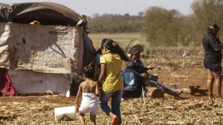 Cimi alerta para atuação de forças de segurança no Mato Grosso do Sul