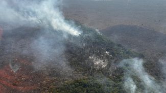 Incêndio florestal no Parque Nacional de Brasília está controlado