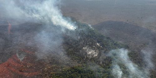 Imagem referente a Incêndio florestal no Parque Nacional de Brasília está controlado