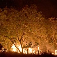 Imagem referente a Dez cidades do Norte e Centro-Oeste respondem por 20% das queimadas