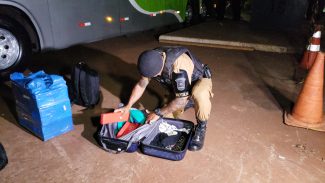 Em continuidade de operação na rodoviária de Cascavel, PM apreende mais drogas e detém mulher