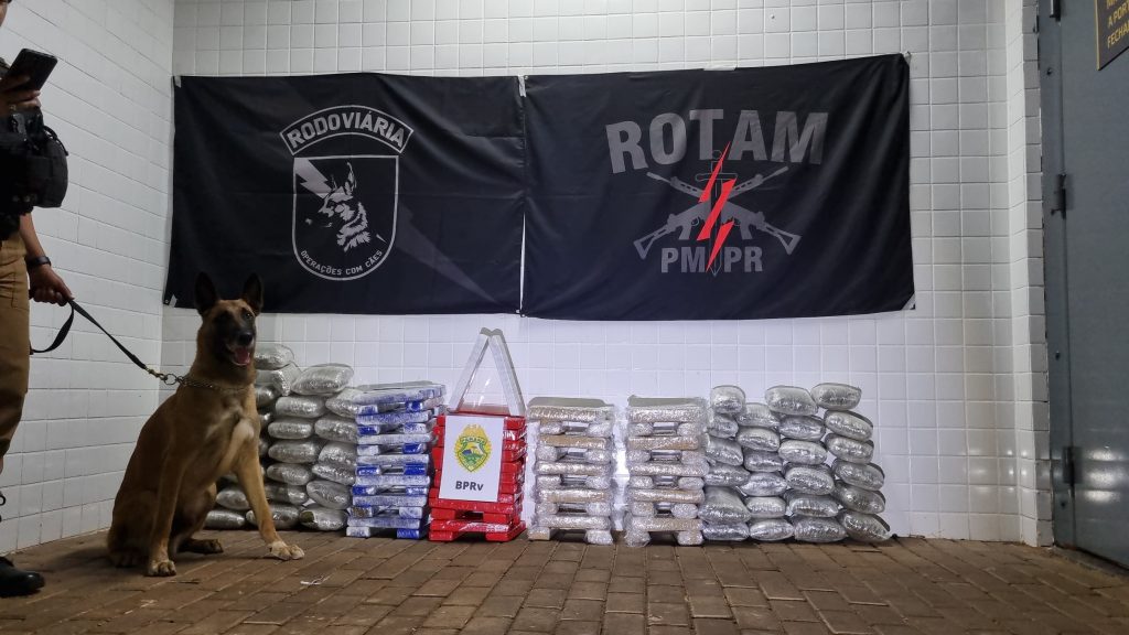Grande quantidade de maconha e cinco detidos na rodoviária são entregues na delegacia