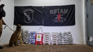 Grande quantidade de maconha e cinco detidos na rodoviária são entregues na delegacia