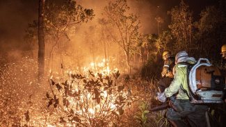 Monitoramento mostra que 99% dos incêndios são por ação humana