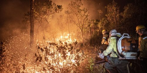 Imagem referente a Monitoramento mostra que 99% dos incêndios são por ação humana