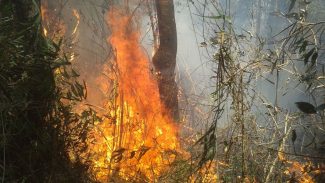 Rio: Justiça transforma em preventiva prisão de acusado de incêndio