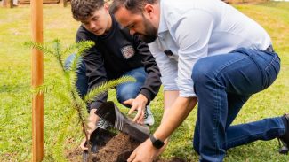 Em Irati, Educação lança projeto para o plantio de 40 mil mudas de árvores nativas