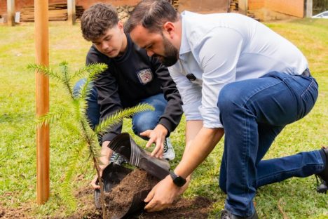 Imagem referente a Em Irati, Educação lança projeto para o plantio de 40 mil mudas de árvores nativas