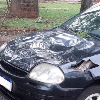 Imagem referente a Árvore cai sobre carro em São Miguel do Iguaçu durante chuva e vento