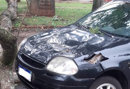 Imagem referente a Árvore cai sobre carro em São Miguel do Iguaçu durante chuva e vento