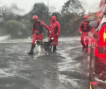 Imagem referente a Desaparecimento de assistente social completa uma semana em Ponta Grossa