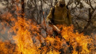 Entenda as linhas de investigação dos incêndios florestais no país