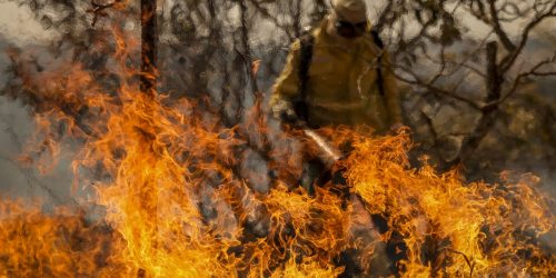 Imagem referente a Entenda as linhas de investigação dos incêndios florestais no país