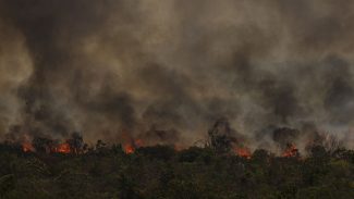 Secretário do MMA vê conotação politica em queimadas na Amazônia