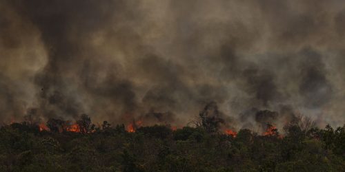 Imagem referente a Secretário do MMA vê conotação politica em queimadas na Amazônia