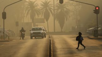 Ato em SP conclama para medidas de mitigação da emergência climática