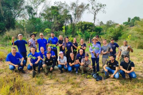 Imagem referente a 63 mil mudas distribuídas: IAT supera meta de recuperação ambiental na Semana da Árvore