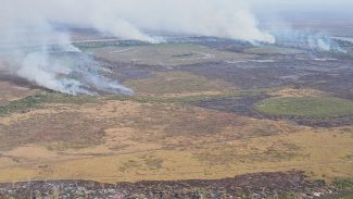 Emissão de gases por incêndios é recorde em dois estados