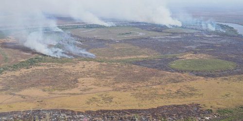 Imagem referente a Emissão de gases por incêndios é recorde em dois estados