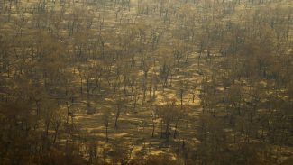 Incêndios e seca na Amazônia e no Pantanal batem marcas históricas