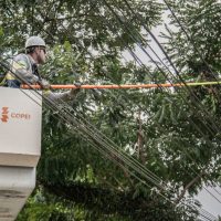 Imagem referente a Copel se prepara para estação úmida com obras, manutenção da rede e reforço de equipes