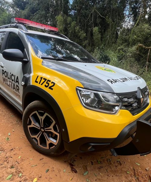 Imagem referente a Operação policial bem-sucedida captura autor de feminicídio