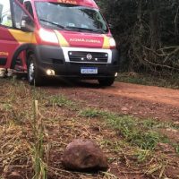 Imagem referente a Dois são condenados, um é absolvido, mas mistério de quem matou Gustavo Martins Correa continua