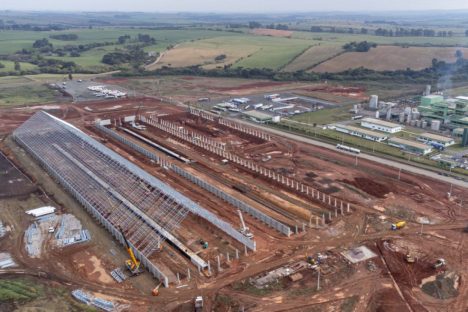 Imagem referente a Paraná alavanca industrialização da soja no País com investimentos bilionários