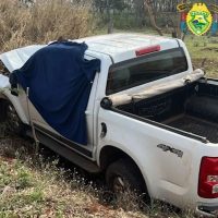 Imagem referente a Idoso de 66 anos morre após bater caminhonete contra árvore na PR-437