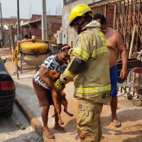 Imagem referente a Após longo trabalho, bombeiros resgatam cachorrinho que caiu em buraco de obra no Esmeralda