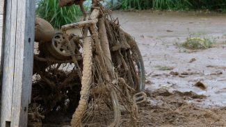 Pesquisadores criam modelo que prevê deslizamentos em São Sebastião