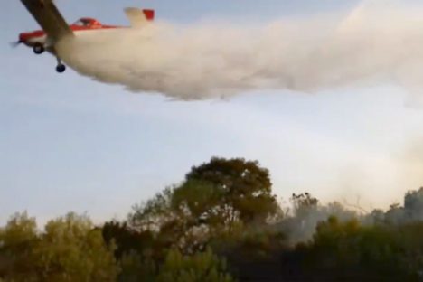 Imagem referente a Avião contratado pelo Estado reduziu em 4 horas combate a incêndio em Palmeira