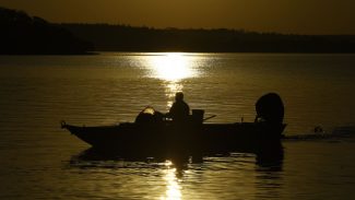 Com longa estiagem, IAT estabelece nova Portaria sobre restrição da pesca no Paraná