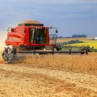 Imagem referente a Chuvas favorecem plantio e produção estimada de soja é de 22,4 milhões de toneladas