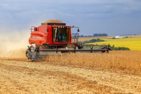 Imagem referente a Chuvas favorecem plantio e produção estimada de soja é de 22,4 milhões de toneladas