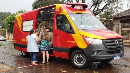 Imagem referente a Galho de árvore atinge criança de 3 anos no bairro Parque São Paulo