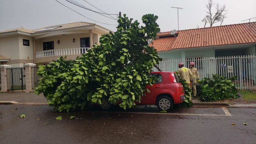 Árvore cai em cima de veículo no Bairro Neva e Corpo de Bombeiros é acionado