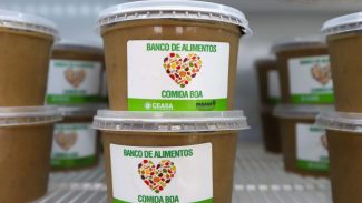 Dia contra o Desperdício: como o Paraná virou exemplo de reaproveitamento de alimentos