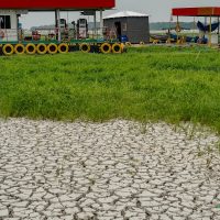 Imagem referente a Seca de rios favorece caça e pesca ilegais na Amazônia