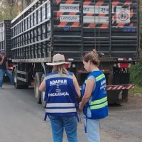 Imagem referente a Receita Estadual identifica irregularidades fiscais em mercadorias no valor R$ 650 mil