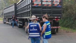 Receita Estadual identifica irregularidades fiscais em mercadorias no valor R$ 650 mil