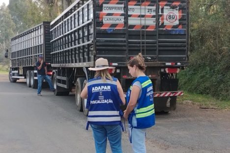 Imagem referente a Receita Estadual identifica irregularidades fiscais em mercadorias no valor R$ 650 mil