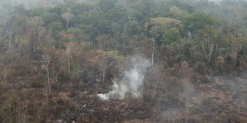 Imagem referente a Ministério das Cidades recebe sugestões sobre mudança climática