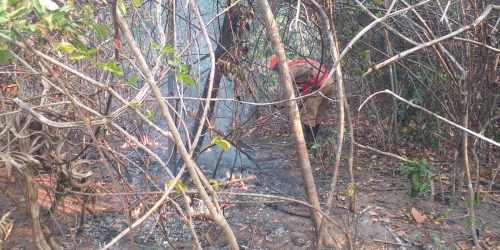 Imagem referente a Incêndio na Chapada dos Veadeiros ainda não foi controlado