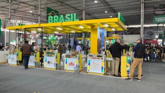 Missão da Invest Paraná coloca empresas paranaenses em contato com mercado latino-americano