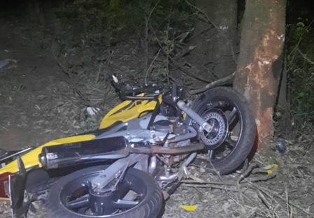 Imagem referente a Homem de 35 anos morre após bater moto contra árvore