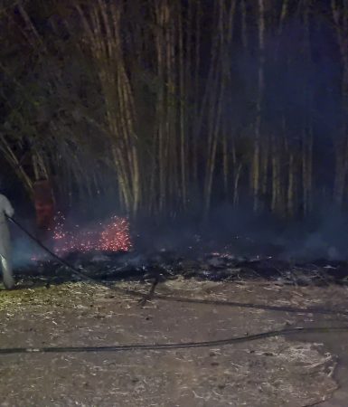 Imagem referente a Bombeiros controlam incêndio ambiental em Cascavel