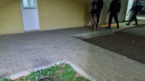 Imagem referente a Vigilante flagra tentativa de furto em atacado; comparsas fogem e adolescente é apreendida